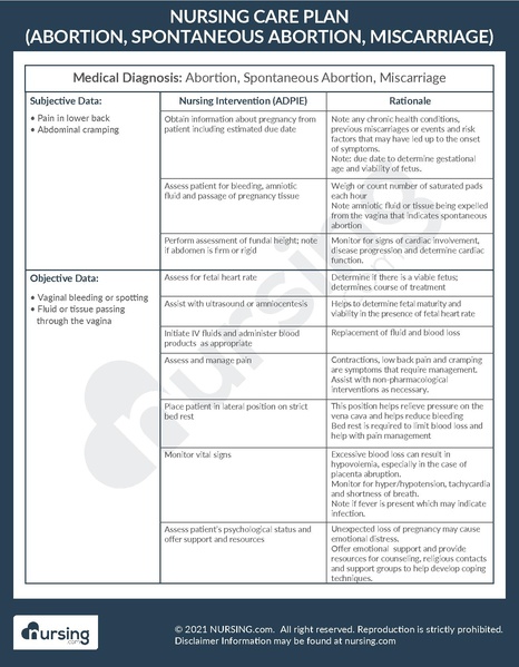 File:Example Care Plan Abortion, Spontaneous Abortion, Miscarriage.pdf