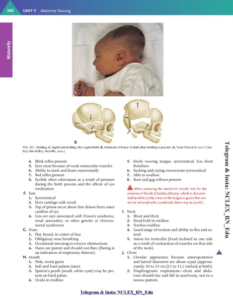 File:20260101153038!phpJpuEow.pdf