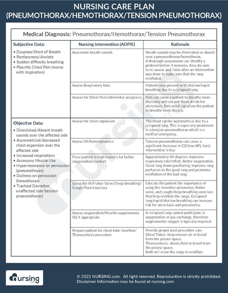 File:Example Care Plan Pneumothorax-Hemothorax.pdf