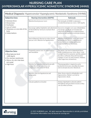 Care Plan Example Hyperosmolar Hyperglycemic Nonketotic Syndrome (HHNS).pdf