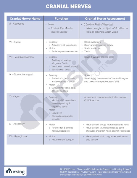 File:Cranial Nerves.pdf