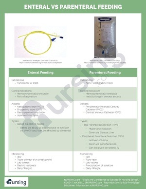 Enteral vs Parenteral Feeding.pdf