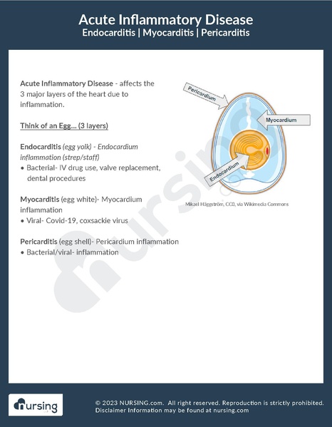 File:Acute Inflammatory Disease.pdf