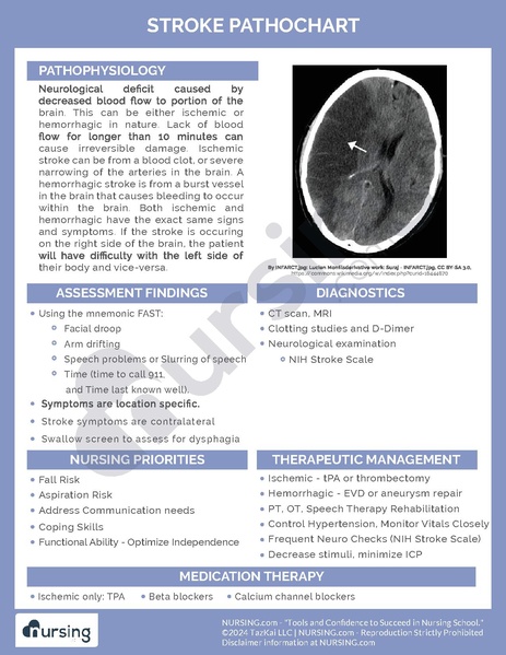 File:Stroke Pathochart.pdf