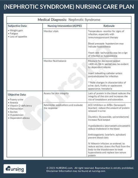 File:Example Care Plan Nephrotic Syndrome.pdf