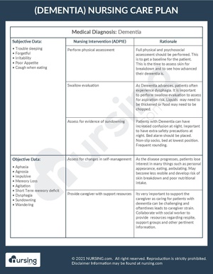 Example Care Plan Dementia.pdf