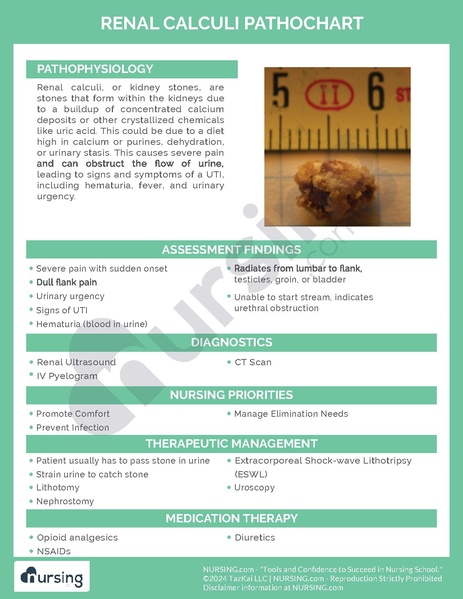 File:Renal Calculi Pathochart.pdf