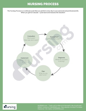 Nursing Process.pdf