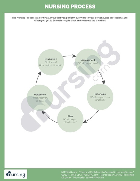 File:Nursing Process.pdf