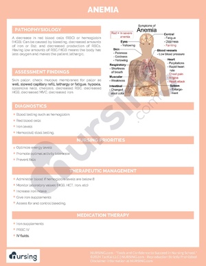 Anemia Pathochart.pdf