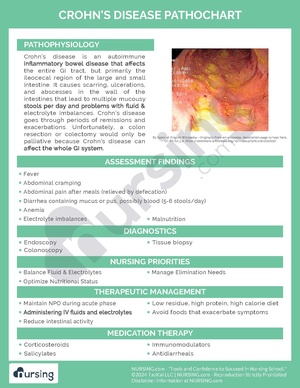 Crohn’s Disease Pathochart.pdf