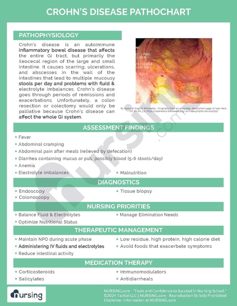 File:Crohn’s Disease Pathochart.pdf