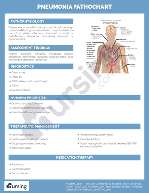 Pneumonia Pathochart.pdf