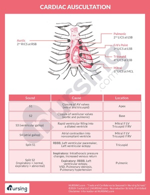 Cardiac Auscultation Heart Sounds Cheatsheet.pdf