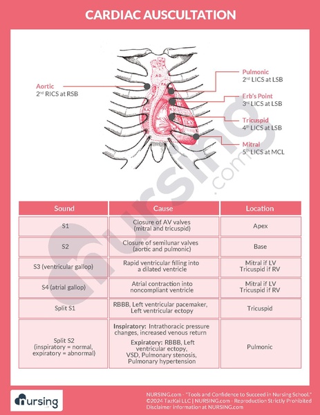 File:Cardiac Auscultation Heart Sounds Cheatsheet.pdf