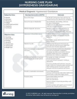 Care Plan Example Hyperemesis Gravidarum.pdf