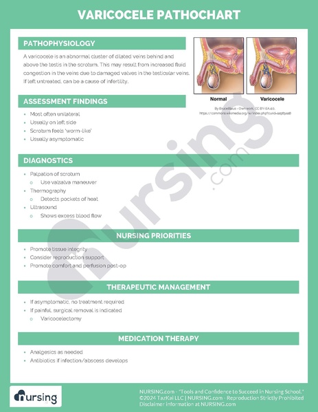 File:Varicocele Pathochart.pdf