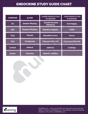 Endocrine System Study Chart.pdf
