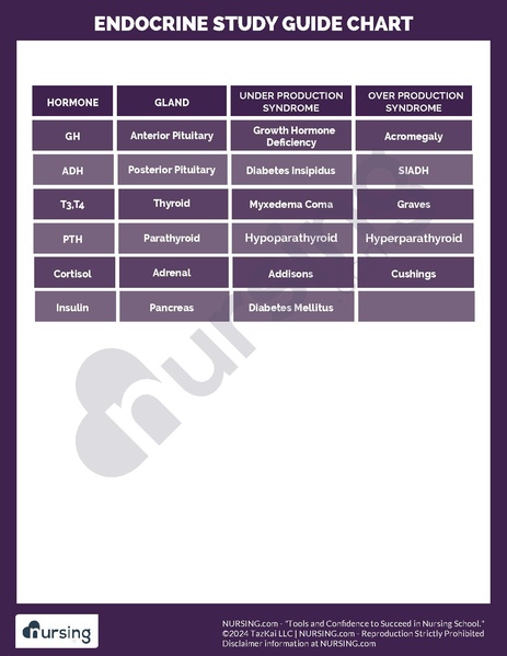 File:Endocrine System Study Chart.pdf