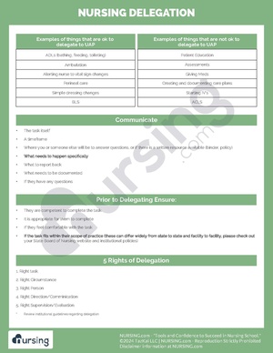 Nursing Delegation.pdf