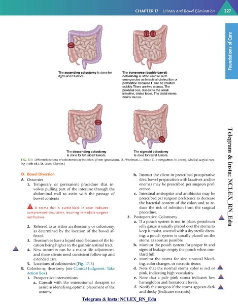 File:Saunders Comprehensive Review for the NCLEX-RN Examination 9th Edition.pdf