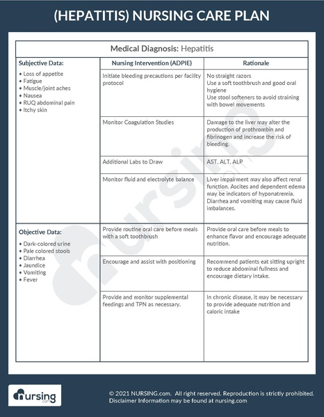 File:Example Care Plan Hepatitis.pdf