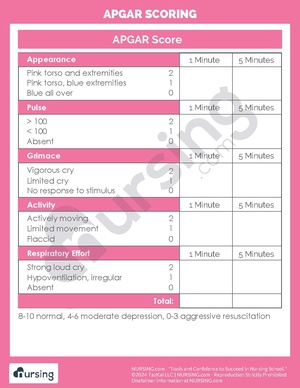 Apgar Scoring.pdf