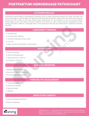 Postpartum Hemorrhage Pathochart.pdf
