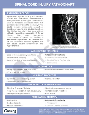 Spinal Cord Injury Pathochart.pdf