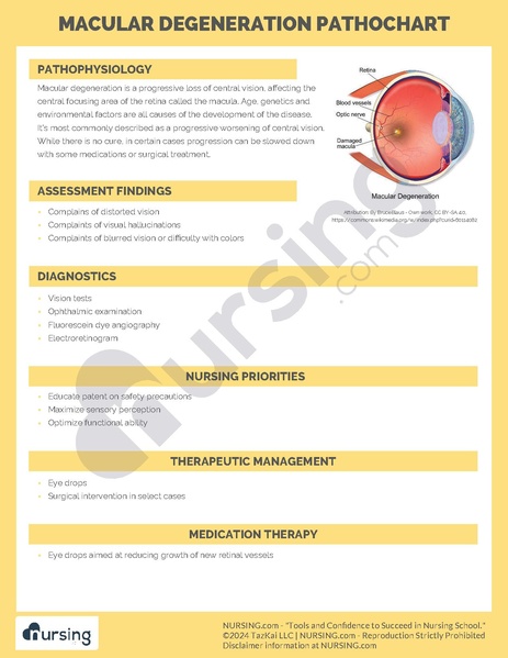 File:Macular Degeneration Pathochart.pdf