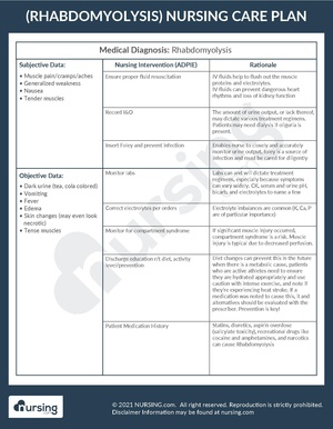 Example Care Plan Rhabdomyolysis.pdf