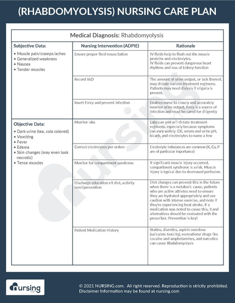 File:Example Care Plan Rhabdomyolysis.pdf