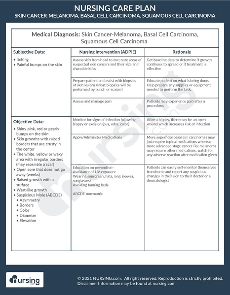 File:Example Care Plan Skin Cancer.pdf