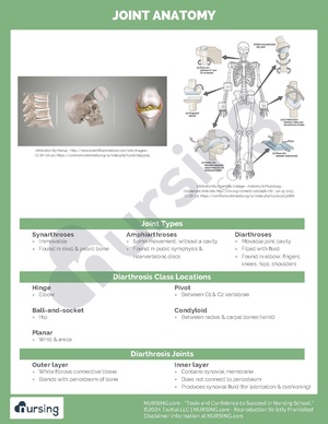 Joint Anatomy.pdf