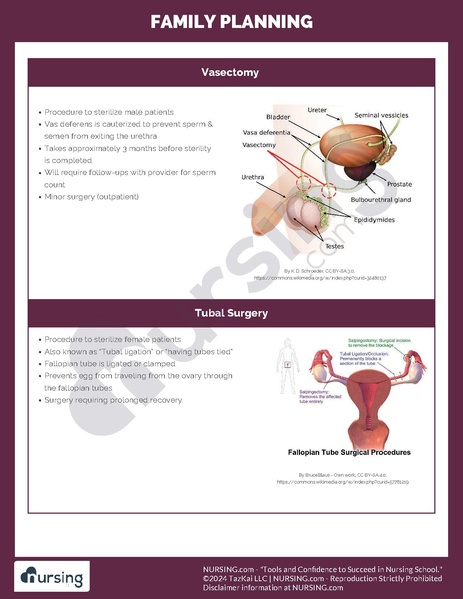 File:Family Planning.pdf