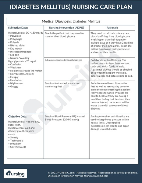 File:Example Care Plan Diabetes Mellitus.pdf