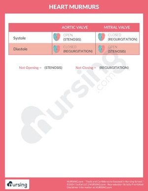 Heart Murmurs.pdf