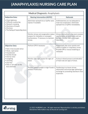 Example Care Plan Anaphylaxis.pdf