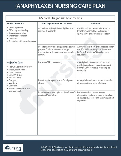 File:Example Care Plan Anaphylaxis.pdf