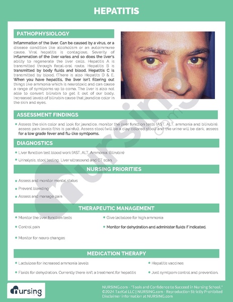 File:Hepatitis Pathochart.pdf