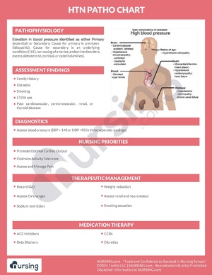 HTN Pathochart.pdf