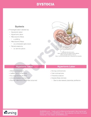 Dystocia.pdf