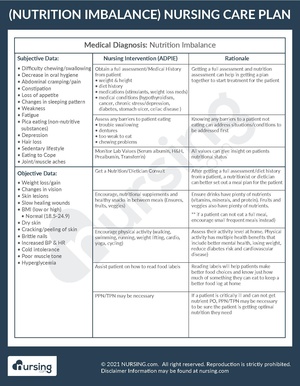 Example Care Plan Nutrition Imbalance.pdf