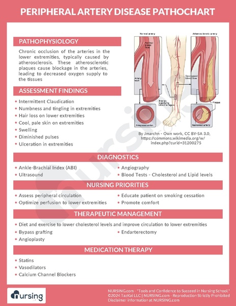 File:Peripheral Artery Disease Pathochart.pdf