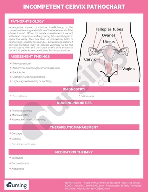 Incompetent Cervix Pathochart.pdf