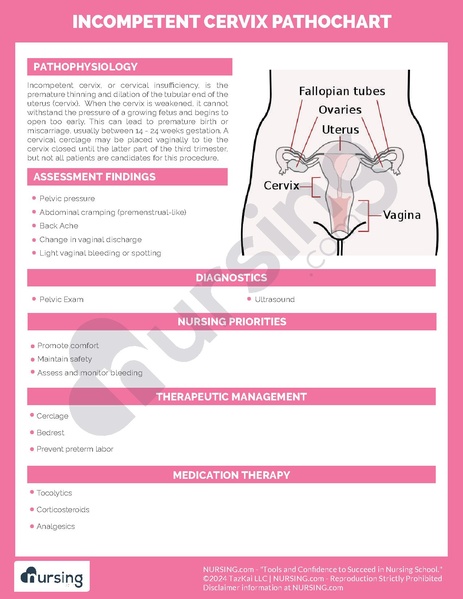File:Incompetent Cervix Pathochart.pdf