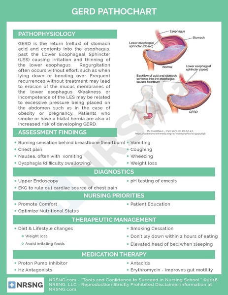 File:GERD Pathochart.pdf