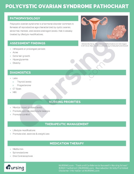 File:Polycystic Ovarian Syndrome Pathochart.pdf