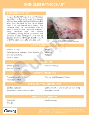 Shingles Pathochart.pdf