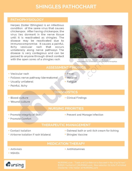 File:Shingles Pathochart.pdf